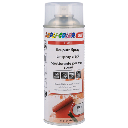 profi Rauputz Spray