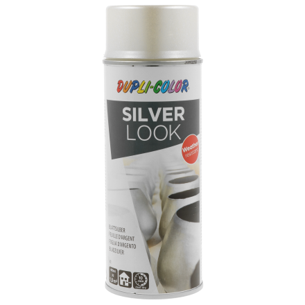 SILVER LOOK